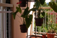 supportfleurs